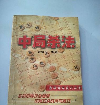 象棋入神全解（大师教你技巧）