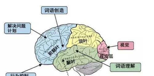 如何提升唱歌跑调节奏技巧（以正确的呼吸和声音控制为基础）