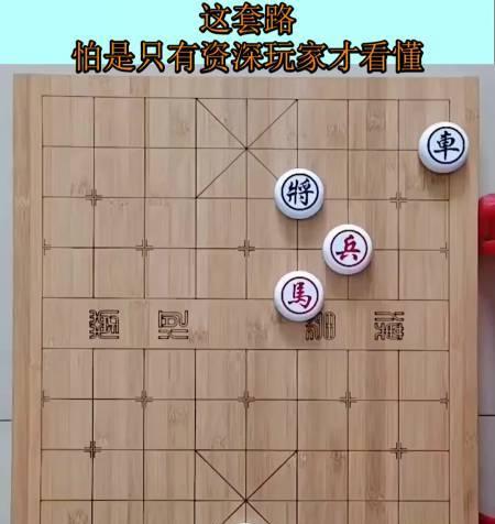 象棋实用套路技巧教程（胜利的关键在于细节）